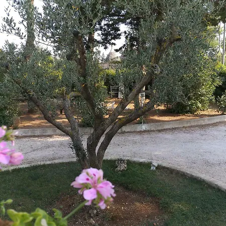 Casa Vacanze Villa Greca Martina Franca Exterior photo