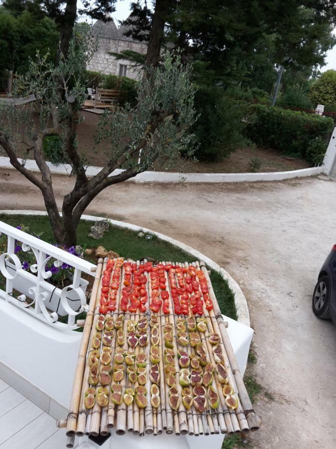 Apartment Greca