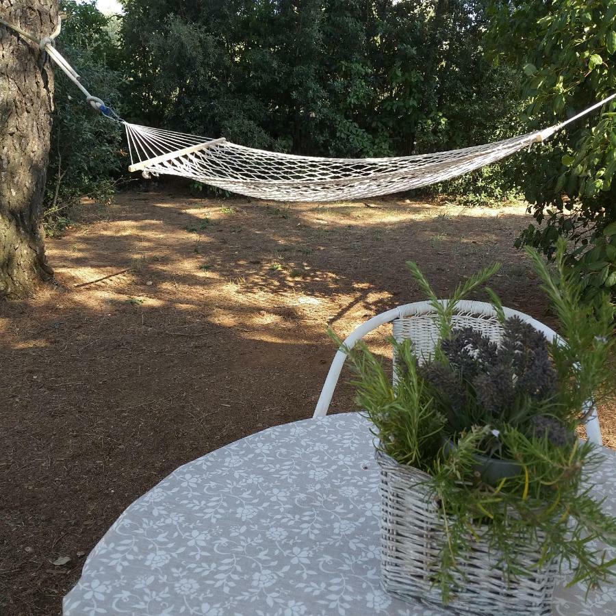Greca Apartment Martina Franca
