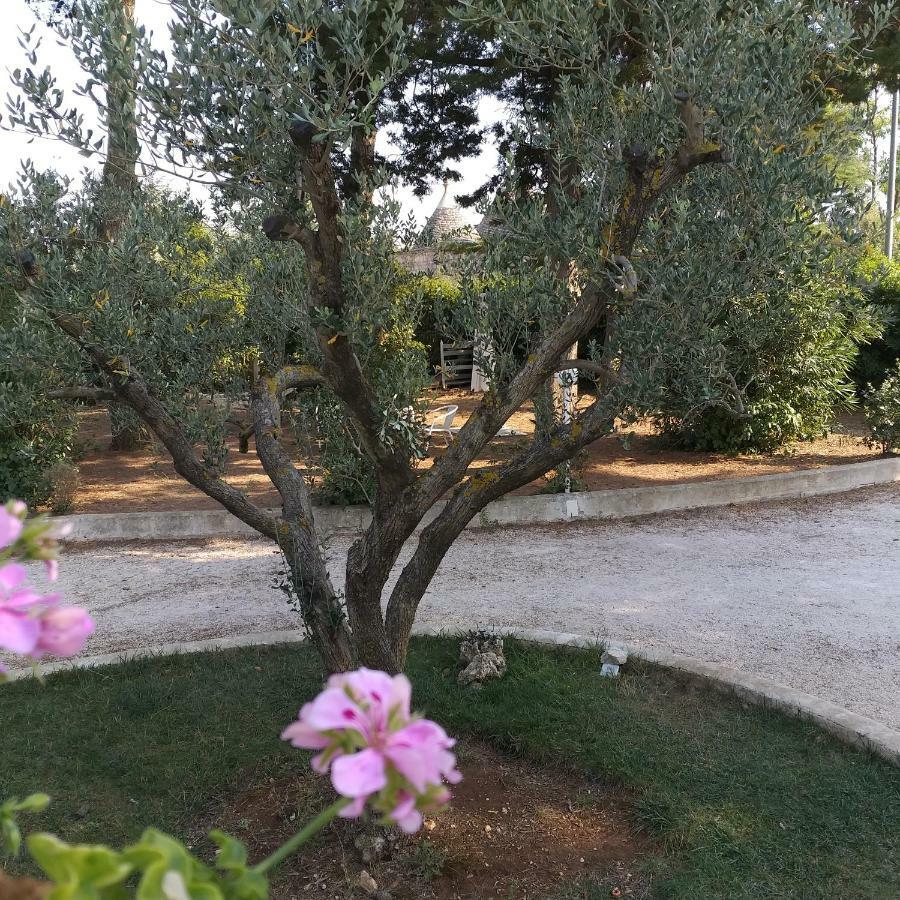 Apartment Greca